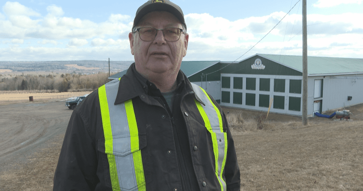 New Brunswick livestock owners worry about province’s decision to end vet services