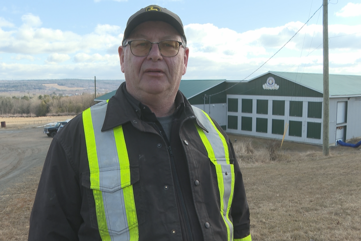 New Brunswick livestock owners worry about province’s decision to end vet services
