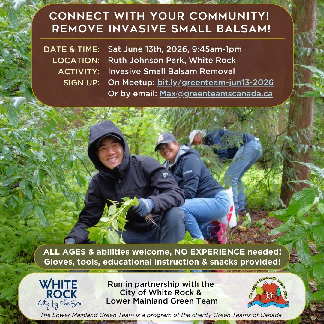 Easy for ALL AGES! Remove Invasive Small Balsam @ Ruth Johnson Park, White Rock! - image