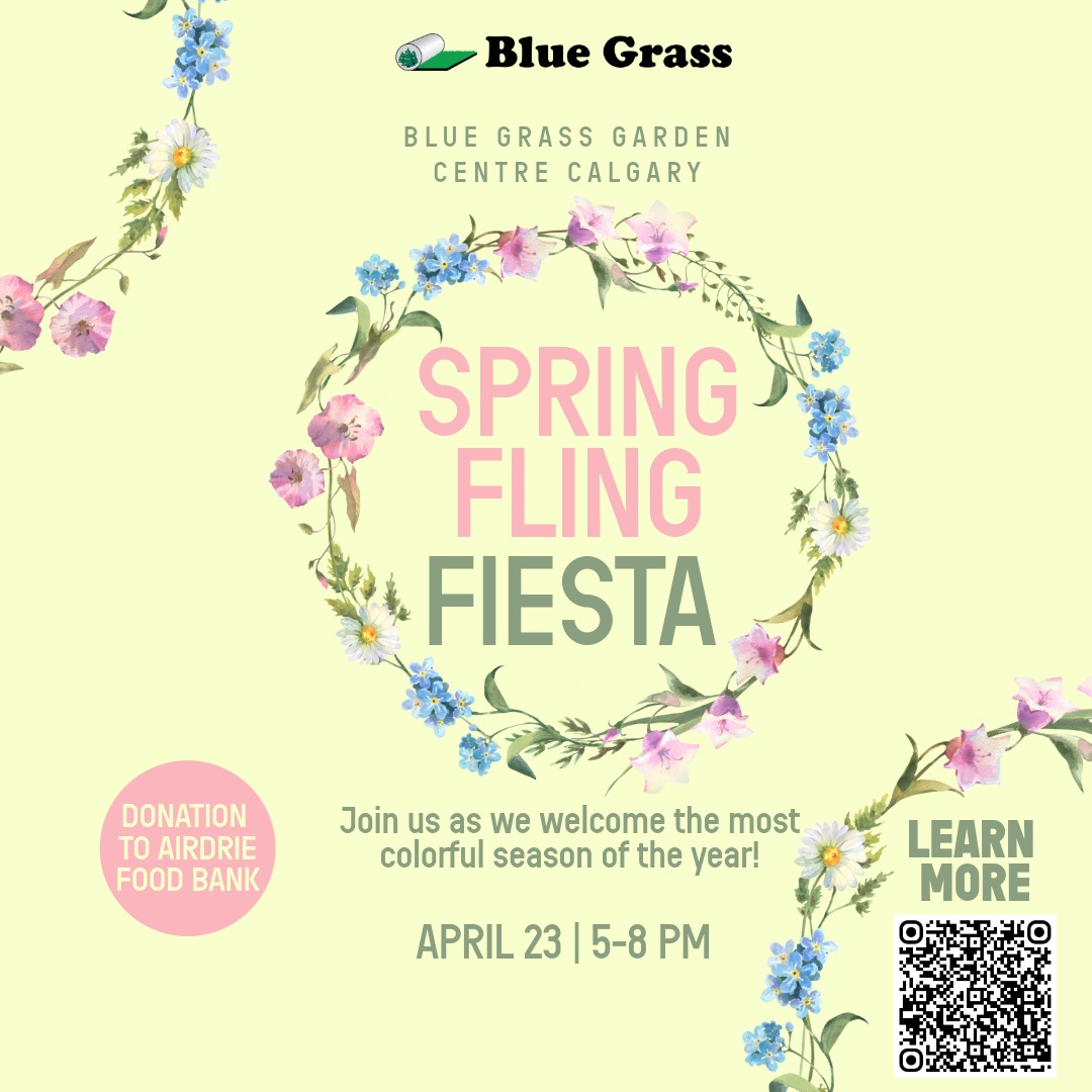 Spring Fling Fiesta at Blue Grass Calgary - image