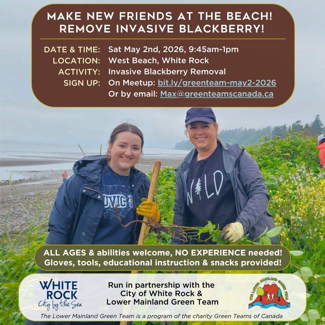 Beach Day! Remove Invasive Blackberry at West Beach, White Rock! - image