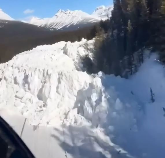 Massive avalanche closes Alberta’s Icefields Parkway until at least Saturday