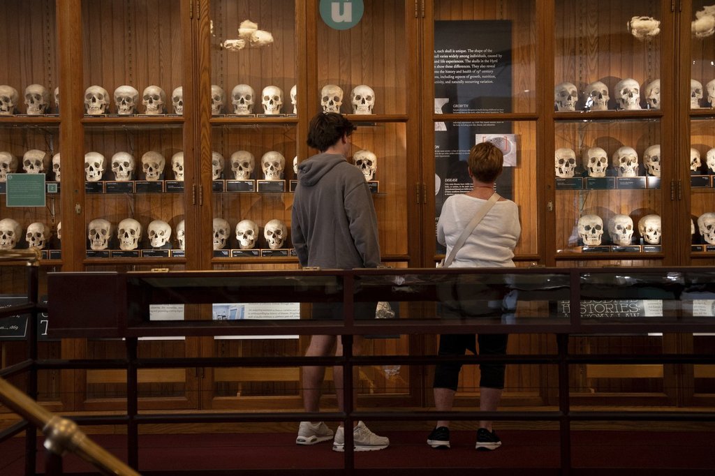 Partial remains of 12 Canadian WWI soldiers returned by U.S. museum
