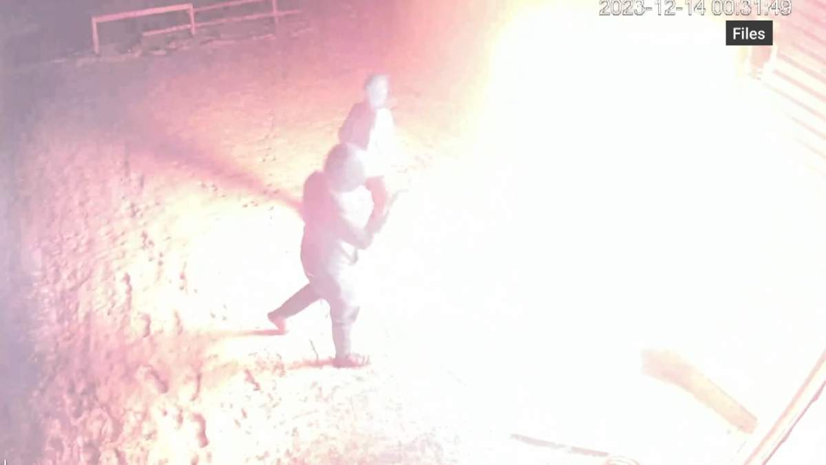 Edmonton Police said it appears that members of organized crime are targeting newly arrived immigrants to Canada to carry out the shootings and other acts of violence related to the extortions.