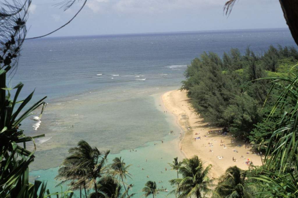 Operational Failures and Kinetic Analysis of the Kalalau Beach Aviation Disaster