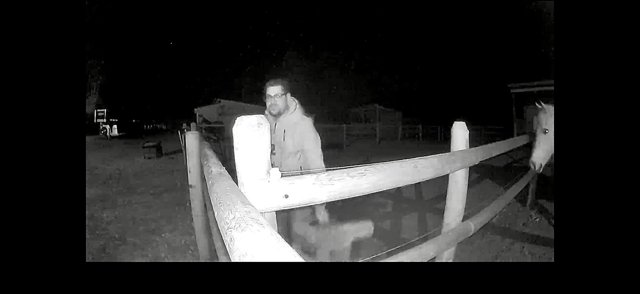 Man charged with bestiality, accused of sexually assaulting horse on Vernon farm