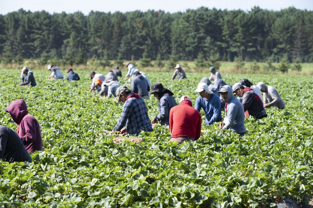 Rural B.c. Communities Ask Province To Support Foreign Worker Program Changes - Beritaja