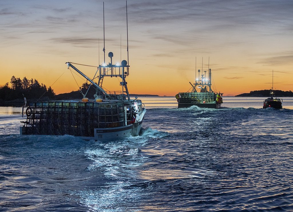 The Economics of Crustacean Extraction: Managing the Margin Squeeze in the North Atlantic Lobster Industry