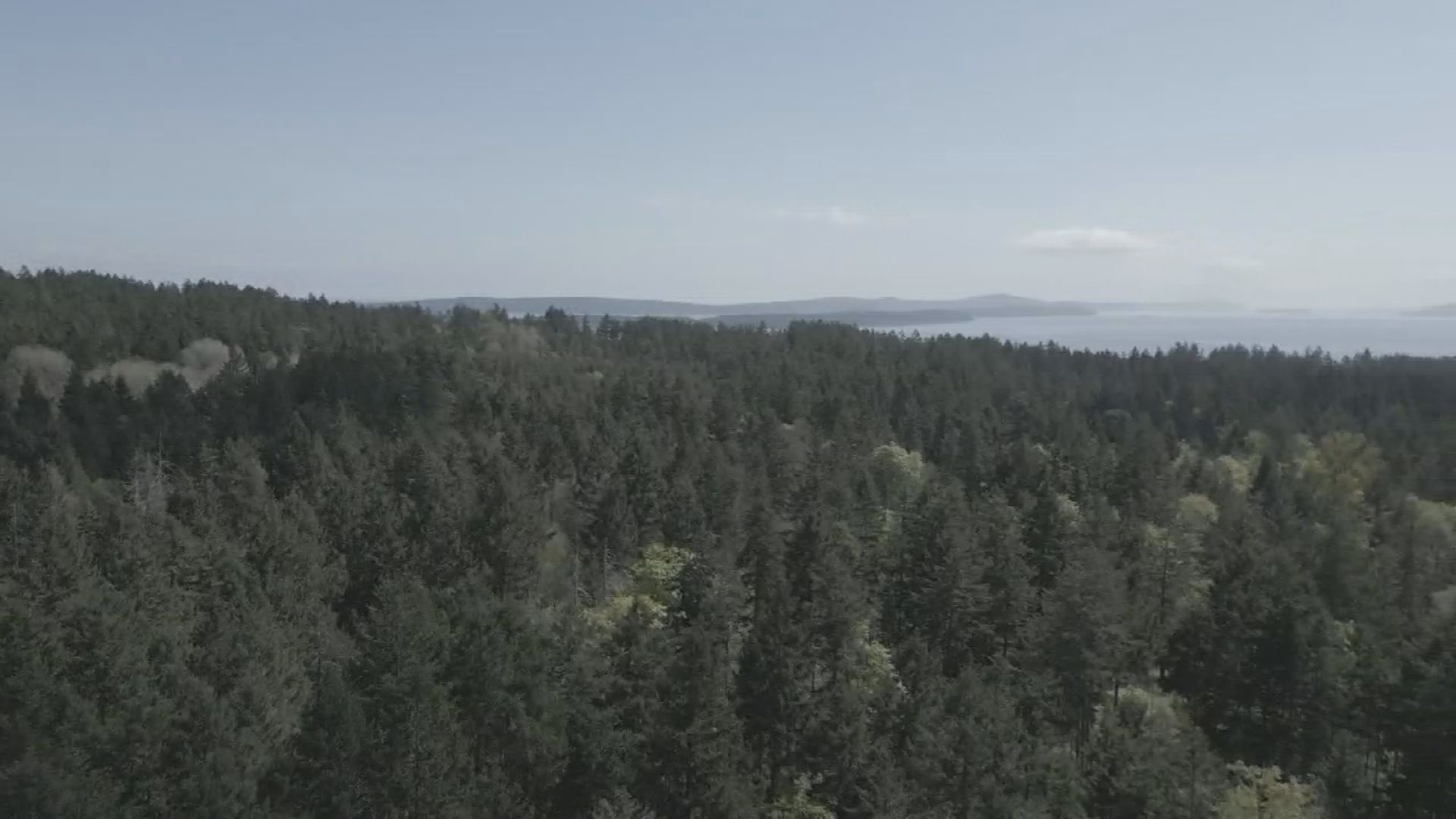 Nanaimo First Nation Sends Strongly Worded Letter To City Over Proposed Development - Beritaja