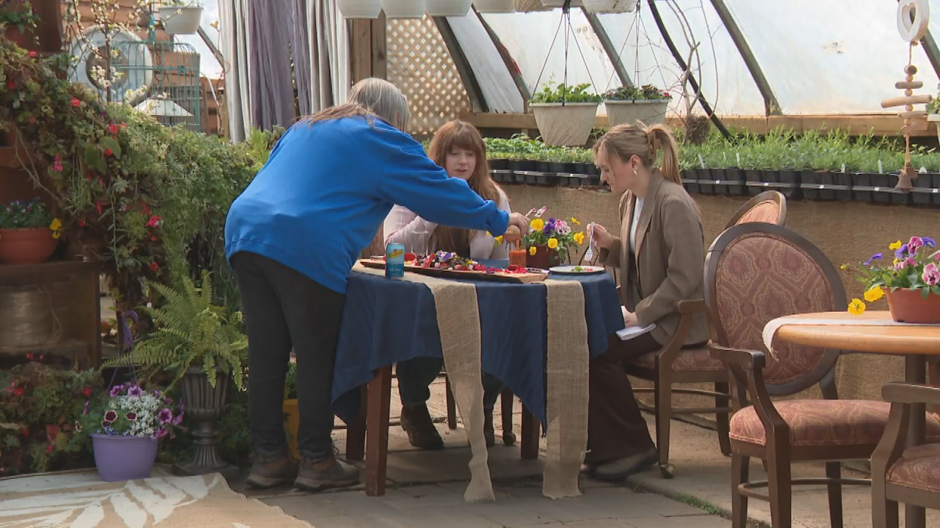 As Canadians look to spend less and vacation closer to home, thousands of farms in Alberta are offering agritourism services and it's not only farmers who are benefiting.