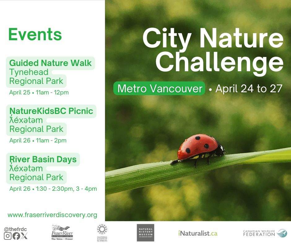 City Nature Challenge - image