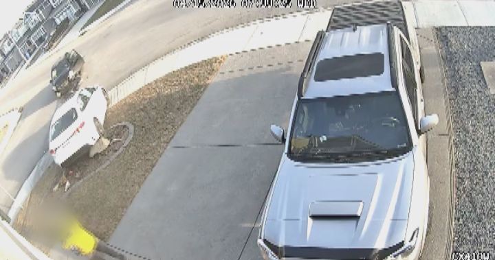 Father, Son Nearly Hit By vehicle Outside Calgary Home After driver Runs Stop Sign: Police - Beritaja