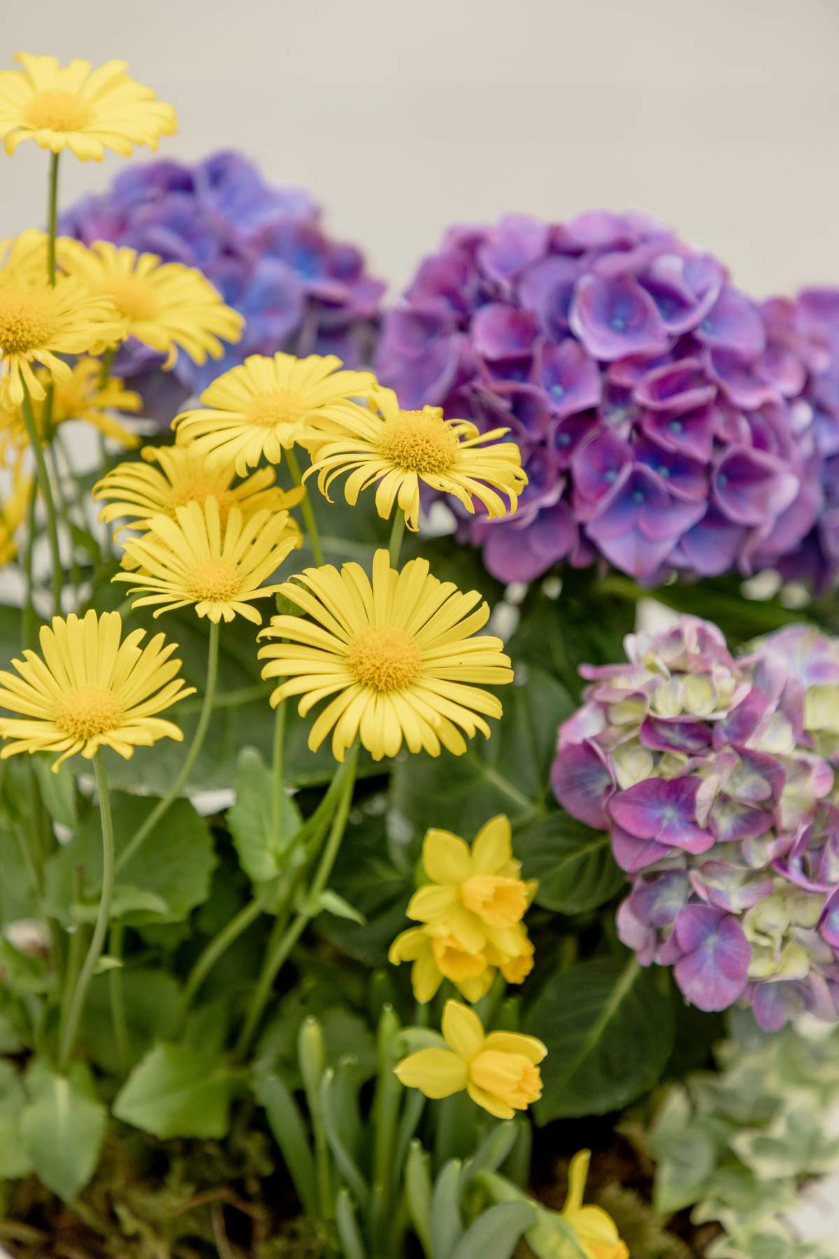 BLOOM! Spring Celebration - image