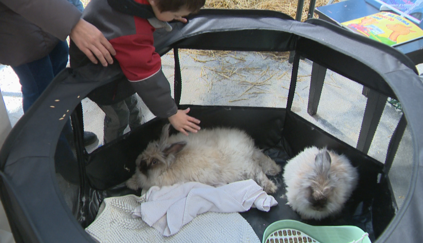 A look at Easter celebrations in Saskatoon