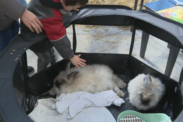 A look at Easter celebrations in Saskatoon