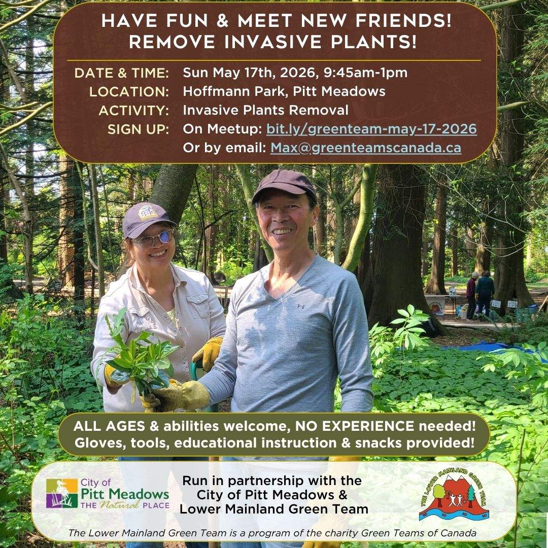 Meet People & Remove Invasive Plants @ Hoffmann Park, Pitt Meadows! - image