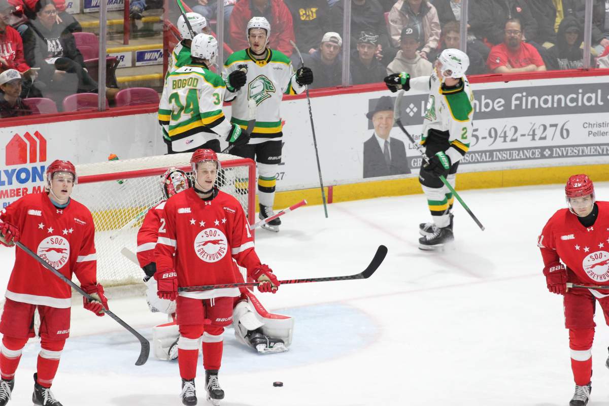 Ryan Brown of the London Knights celebrates one of his three goals in Game 4 of London's first round series against the Soo Greyhounds on April 1, 2026 at GFL Memorial Gardens.