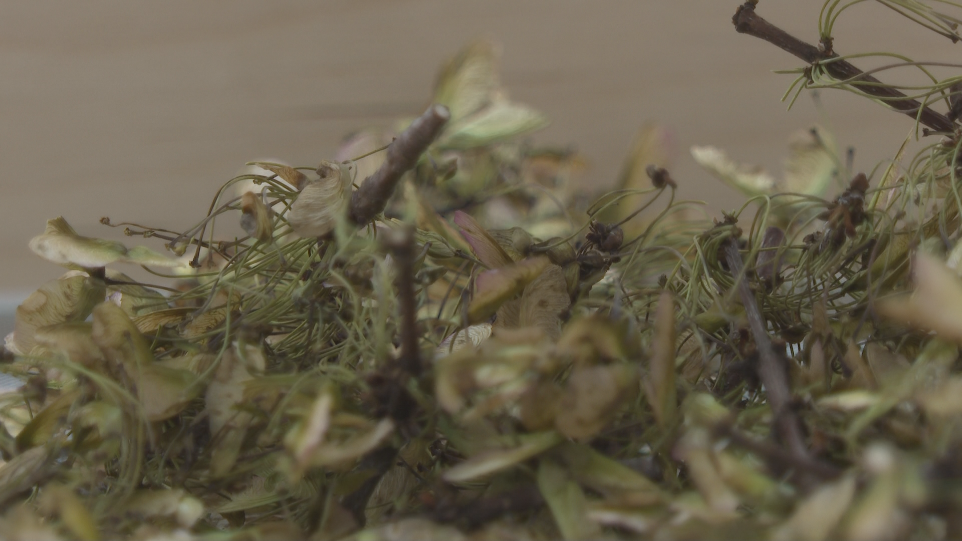 The Smallest Passengers on the Longest Road