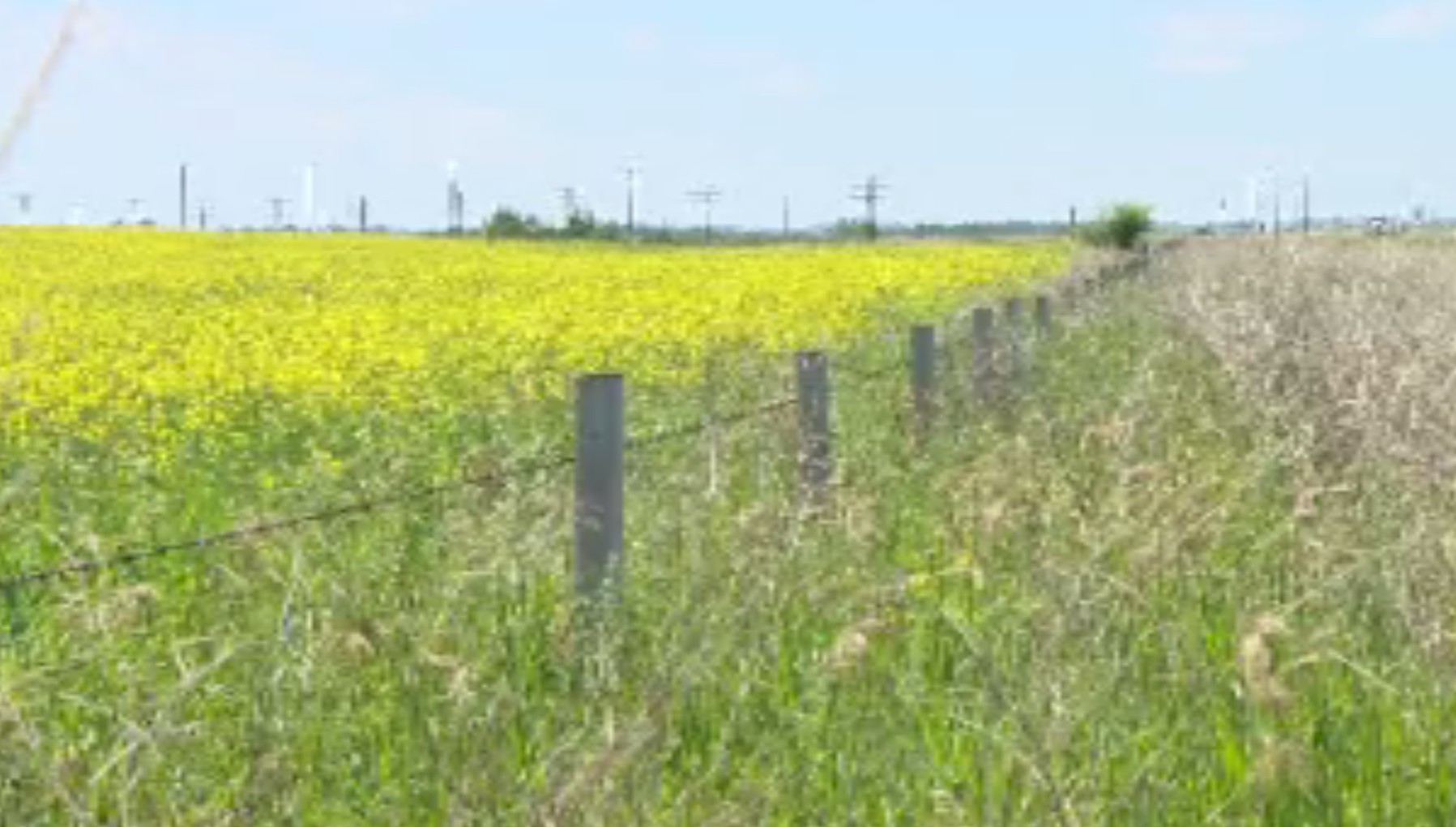 The Saskatchewan Seeding Trap and the Death of the Midsize Farm