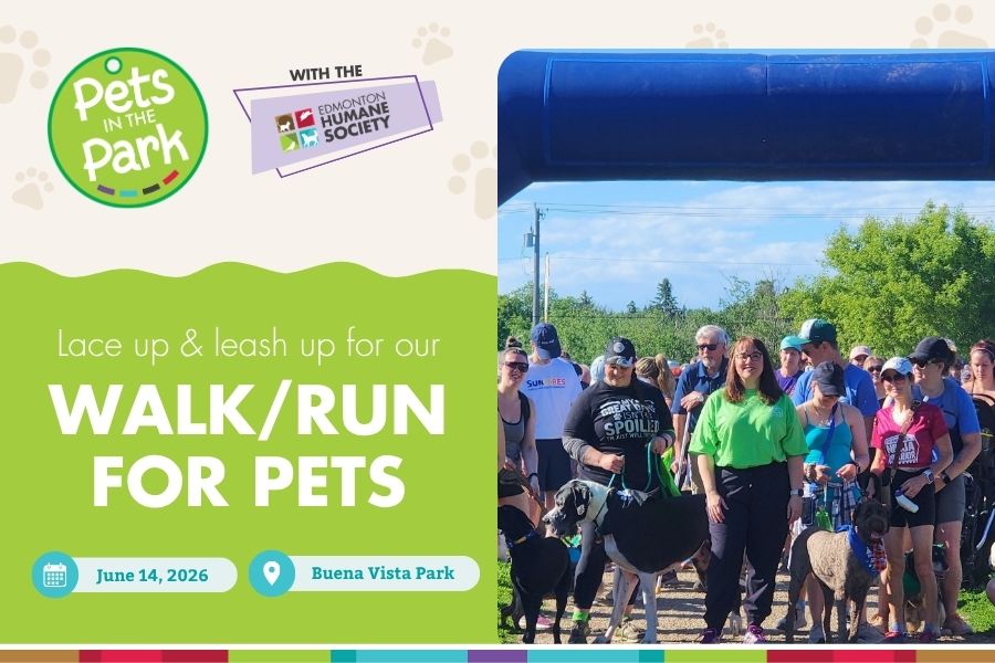Global Edmonton supports Pets in the Park & Walk/Run - image