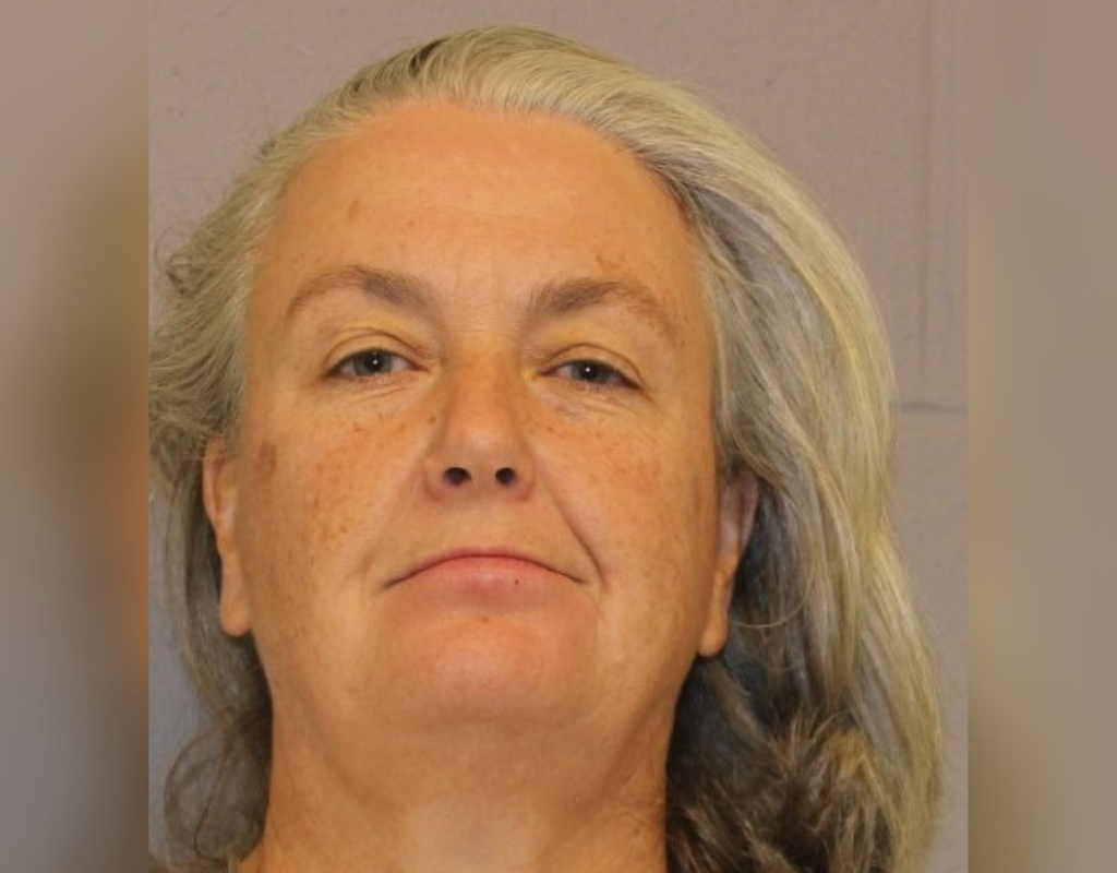 U.S. woman who unleashed swarms of bees on police gets 6 months in jail