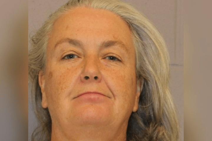 Mulher norte-americana que soltou enxames de abelhas contra a polícia pega 6 meses de prisão – Nacional Mulher norte-americana que soltou enxames de abelhas contra a polícia pega 6 meses de prisão – Nacional