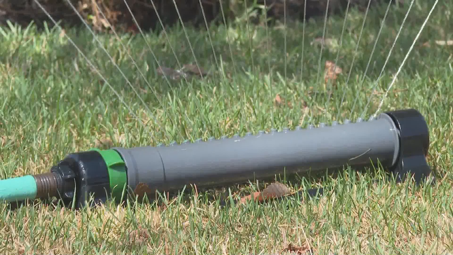 Calgary city council approves outdoor watering schedule as part of demand reduction plan