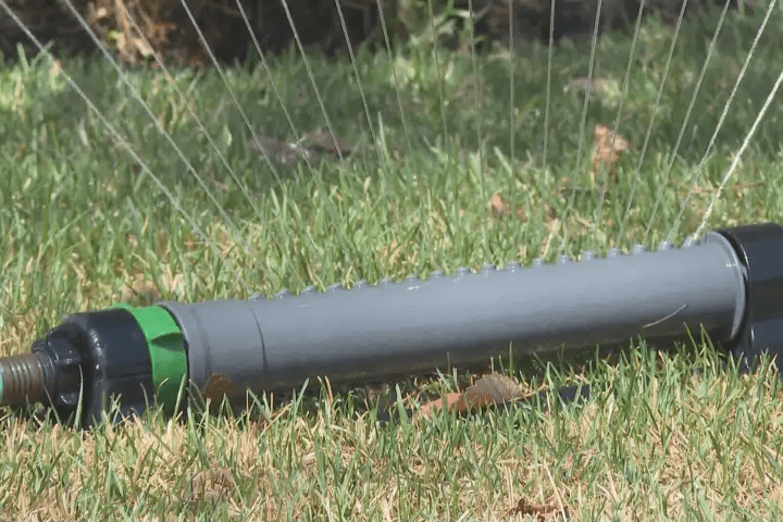 Calgary city council approves outdoor watering schedule as part of demand reduction plan