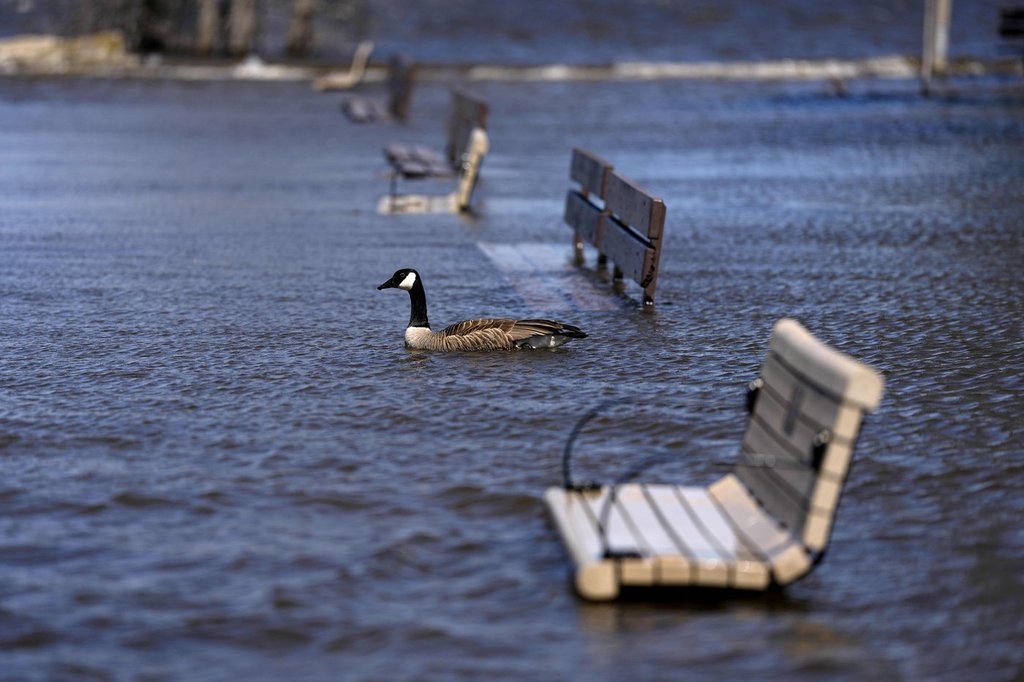 30% of Canadians say they were hit by extreme weather in last year: poll