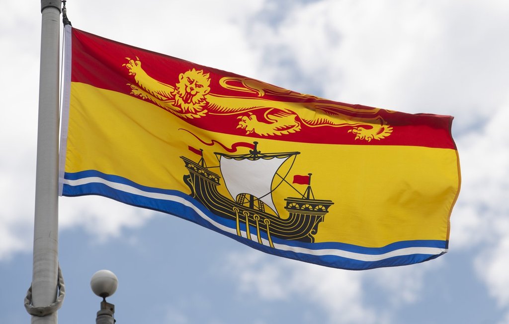 Saint John, N.B., police chief claims officer complaints against him are union tactic