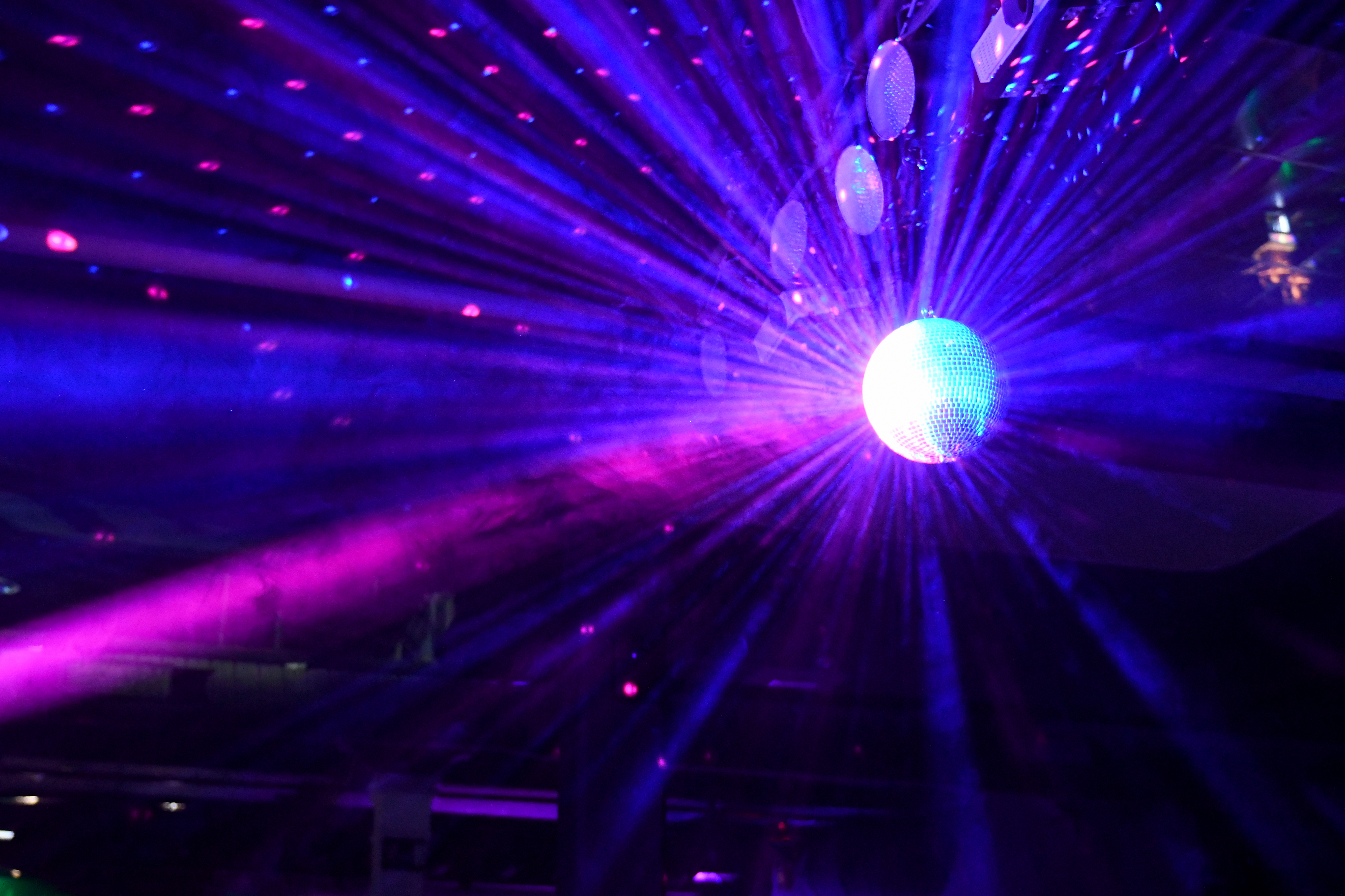 Calgary Nightclub Shut Down Due To Cockroaches, Mould Growth: Ahs - Beritaja