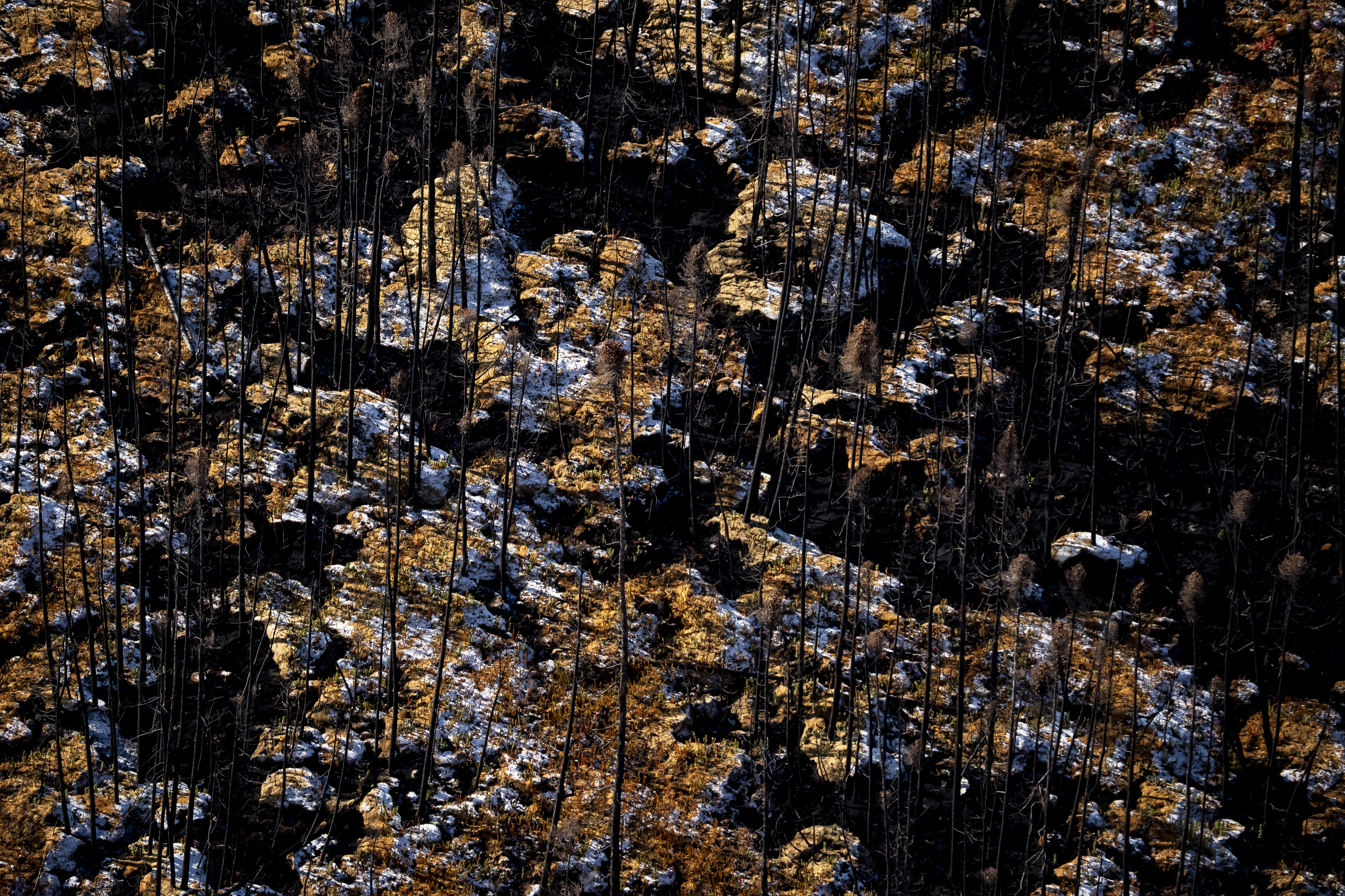 Canada’s wildfire season forecast is ’cause for concern,’ experts warn