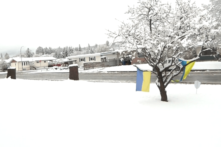 Tempestade de neve de primavera deixa cair 10 cm de neve em Cranbrook e corta energia Tempestade de neve de primavera deixa cair 10 cm de neve em Cranbrook e corta energia
