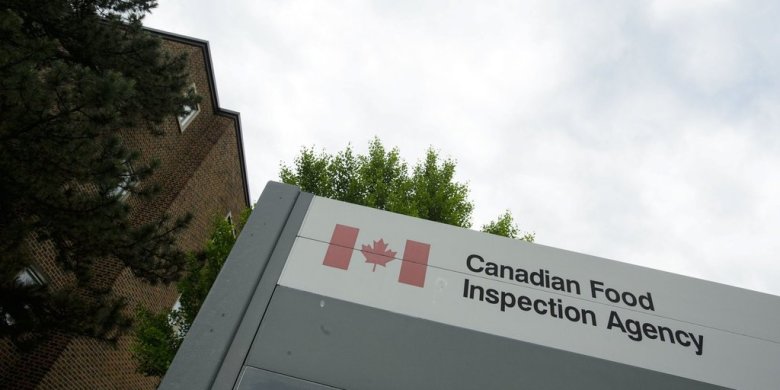 CFIA warns of U.S. outbreaks of pseudorabies in commercial swine
