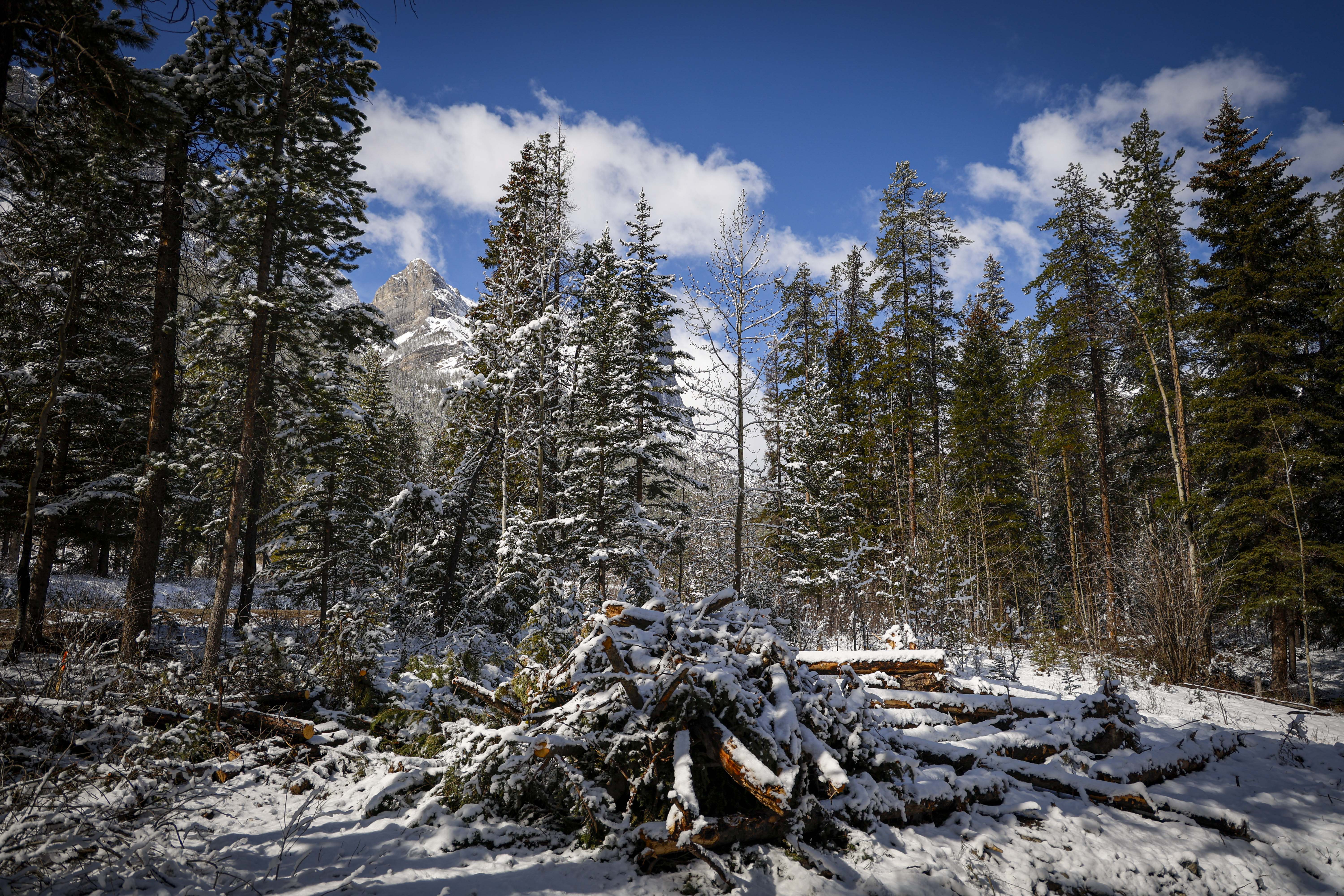 Planned Glampsite Renews Longstanding Canmore, Alta. Concerns On Growth Pressures - Beritaja