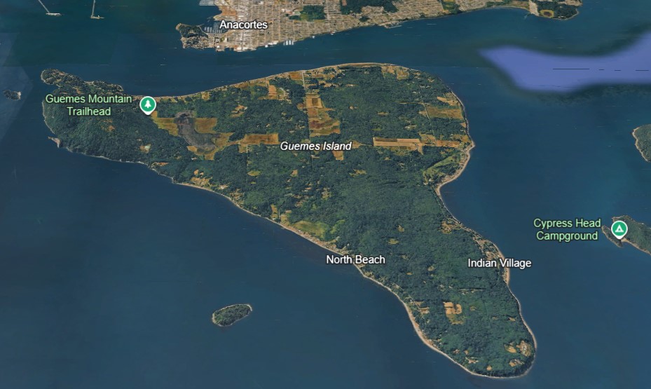 Between 20 and 25 deceased canines have washed up on Washington state beach