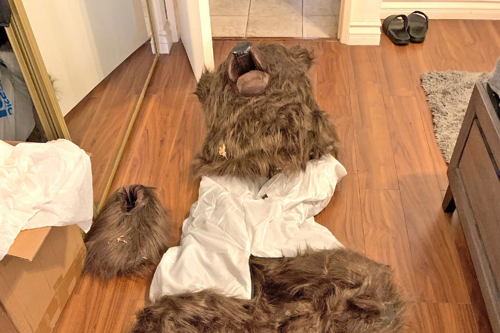 Trio sentenced over ‘bear costume’ insurance fraud scam in California - National