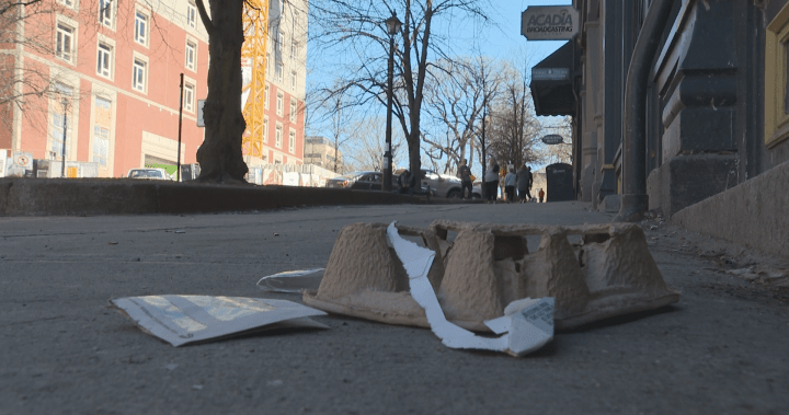 New nuisance bylaw means stiffer fines for littering in Saint John
