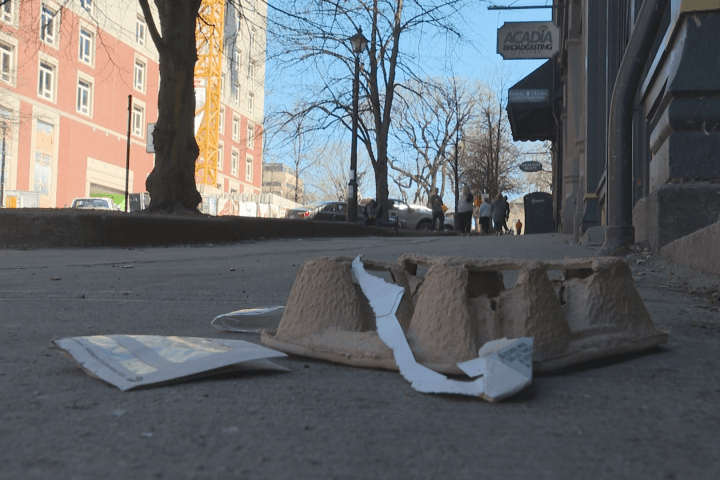 Novo estatuto de incômodo significa multas mais severas para lixo em Saint John – New Brunswick Novo estatuto de incômodo significa multas mais severas para lixo em Saint John – New Brunswick