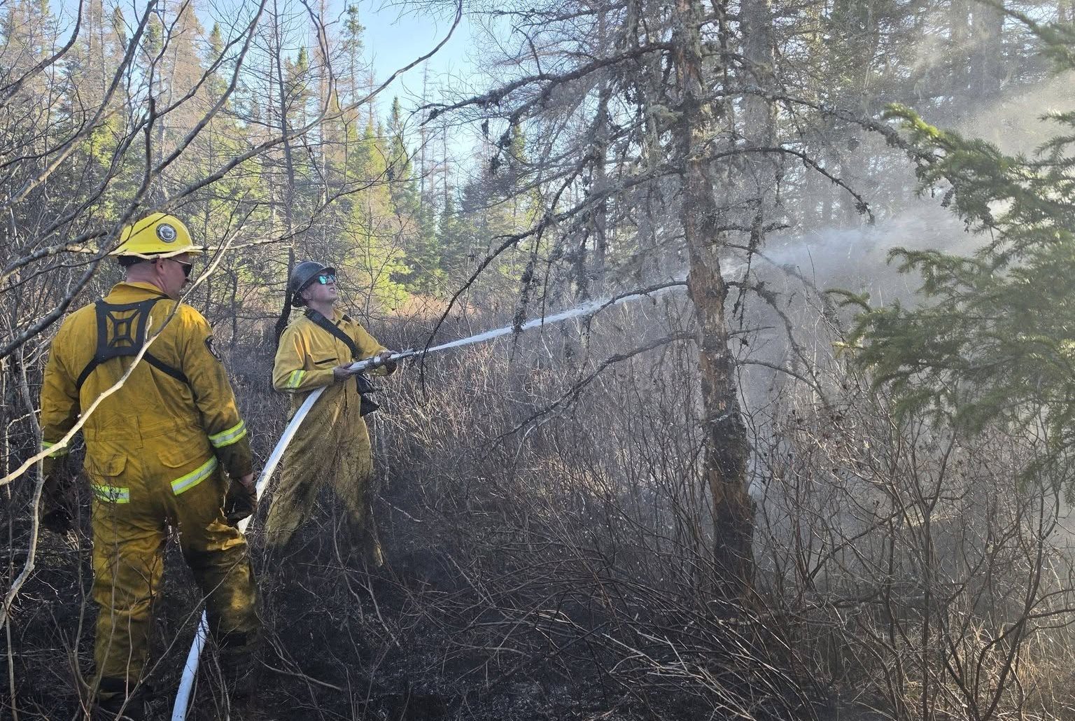 Early Season Wildfires In Maritime Provinces Has Officials Urging Caution - Beritaja