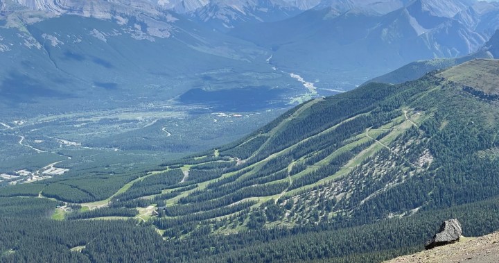 Owners Of Nakiska Ski Area Announce Plans For New Summer Activities In 2027 - Beritaja