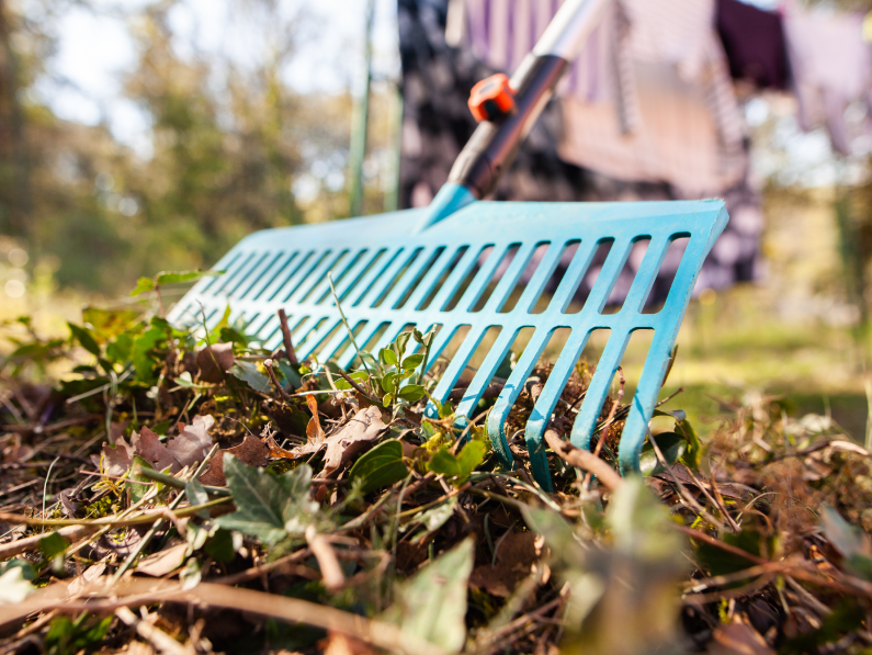 The Brutal Truth About Why Your Yard Is Stalling