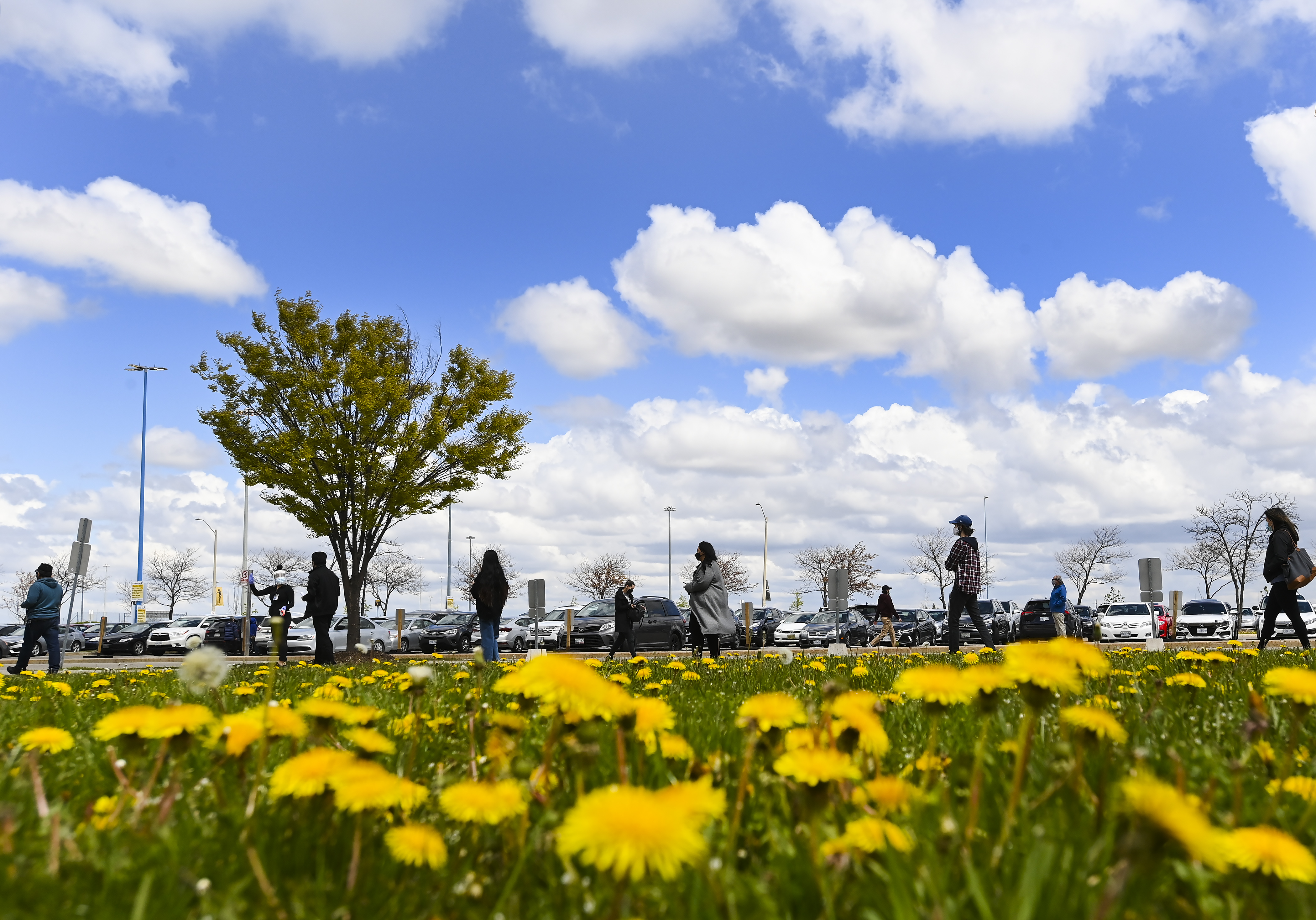 Why Allergy Seasons Are Becoming ‘more Intense Overall’ In Canada - Beritaja