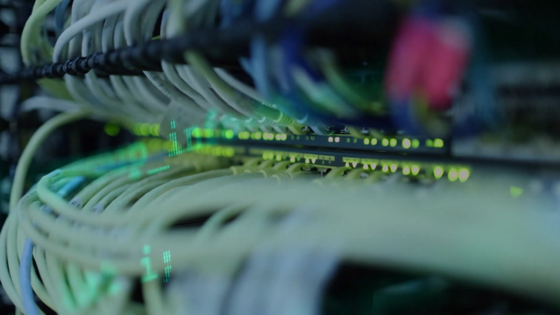 Calgary Police Service employee charged in breach of privacy investigation