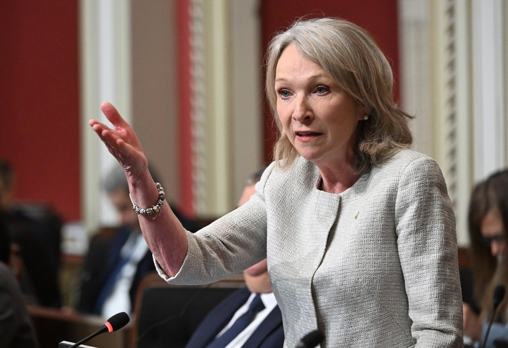 Quebec Psychiatrists Group Supports Bill On Forced Hospitalizations For Mentally Ill - Beritaja