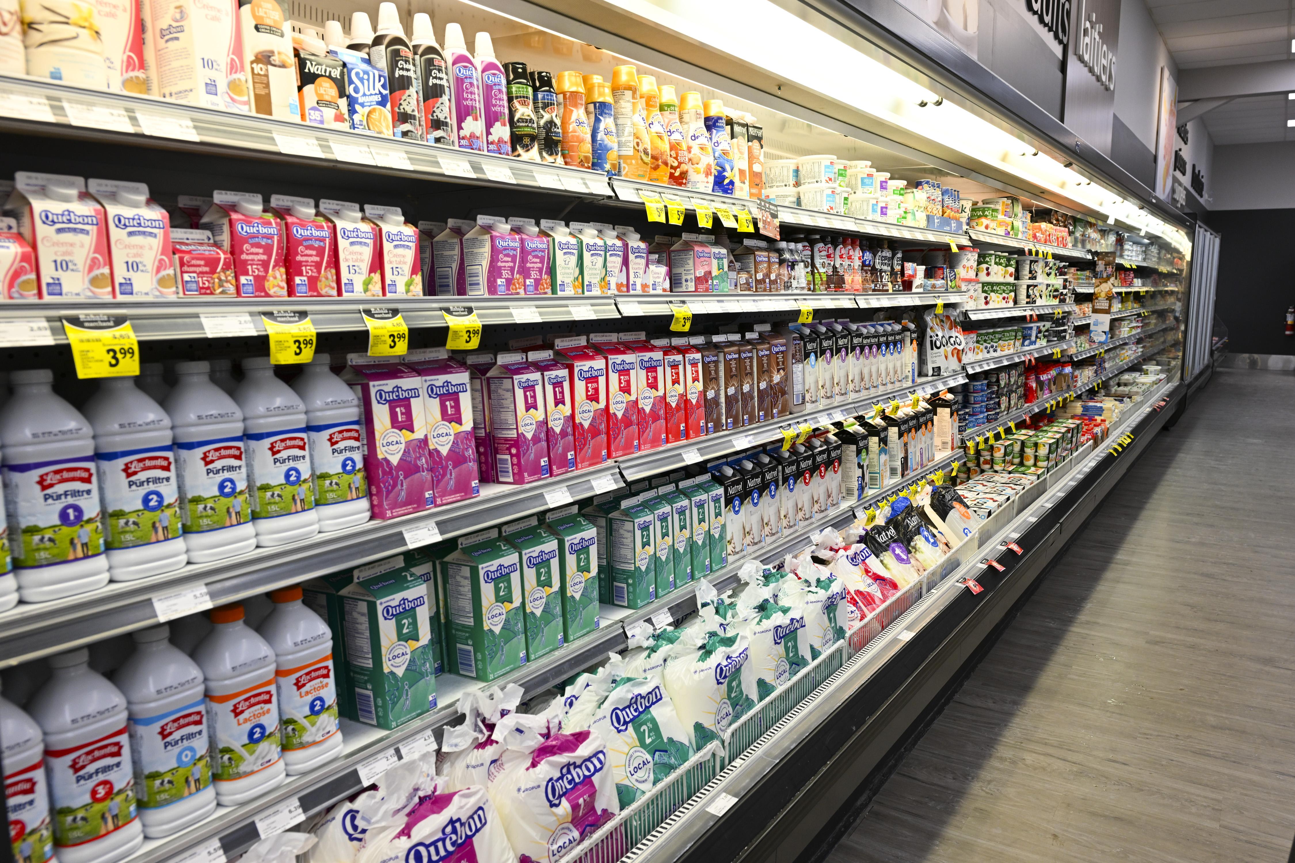 What’s The Deal With 6% Fat Milk, Newly On The Market In Ontario? - Beritaja