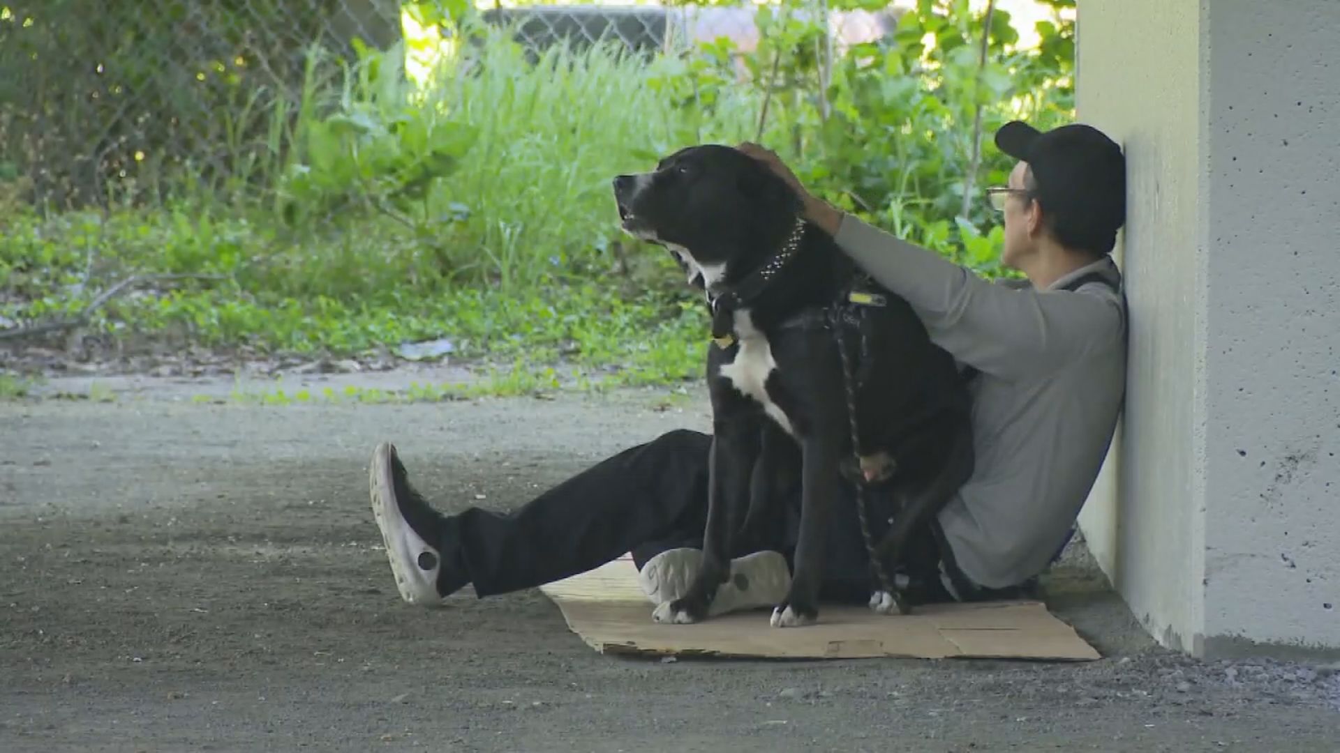 ‘no-go Zone’: Vancouver Homeless Man Claims He Was Told To Move Ahead Of Fifa - Beritaja