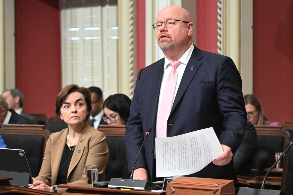 Quebec Tables Bill Allowing People To Obtain Domestic Violence History Of Partners - Beritaja