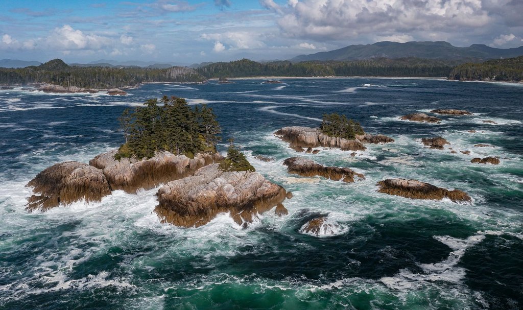 Huge national marine conservation area established off B.C.’s Central Coast - BERITAJA