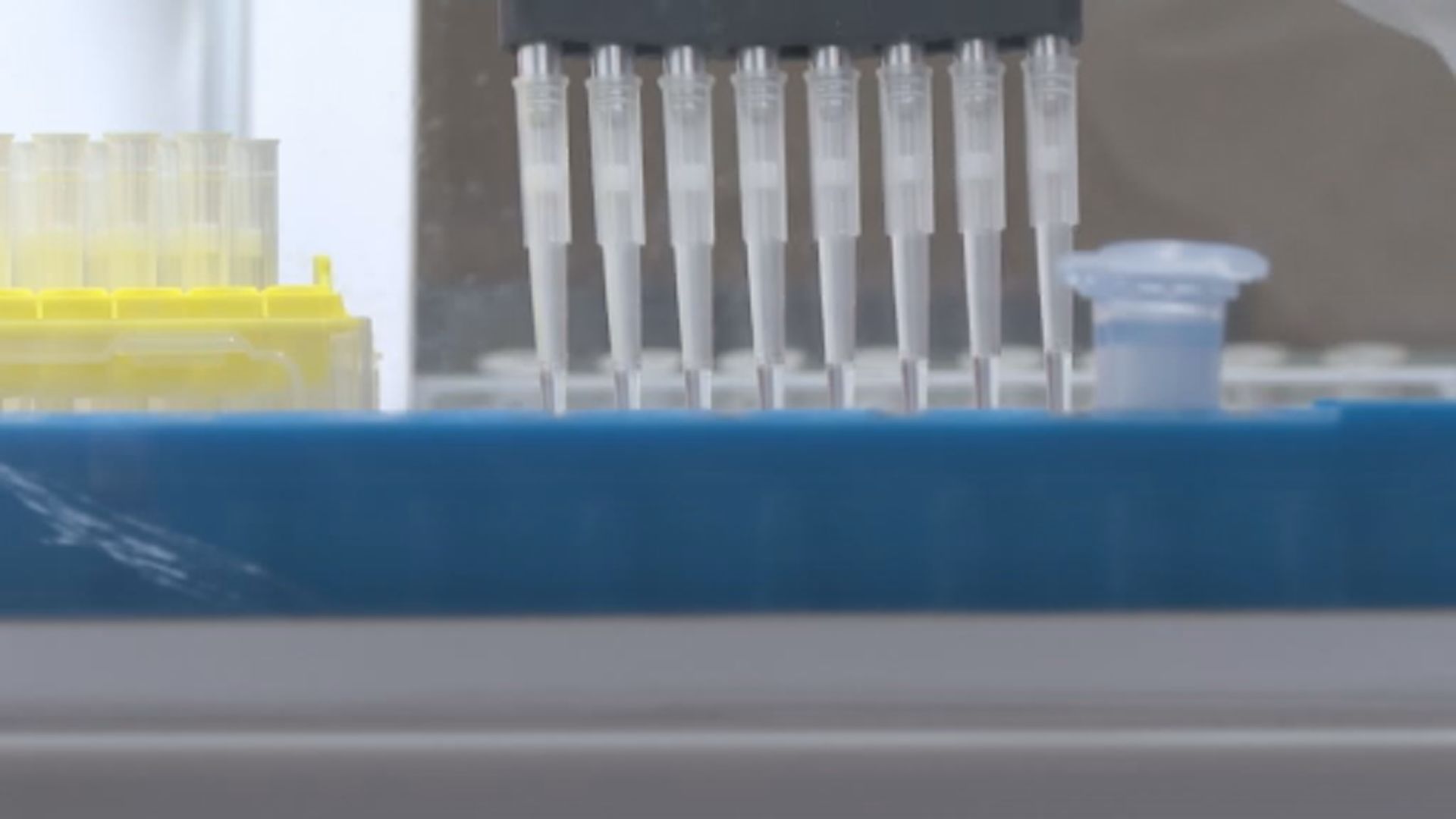 Province Invests Millions In Funding For Kingston Cancer Research - Beritaja